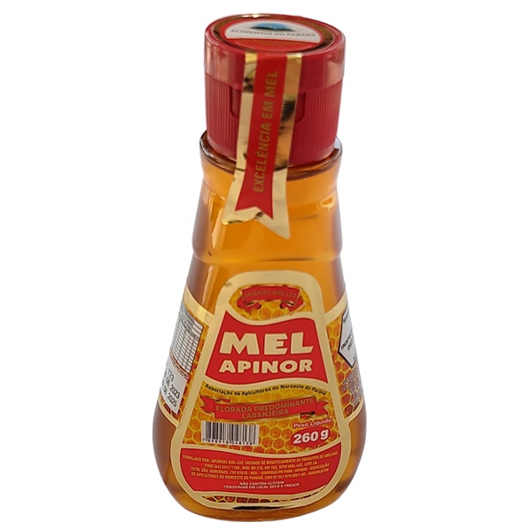 Mel Florada Eucalipto Bisnaga Apinor 500Ml